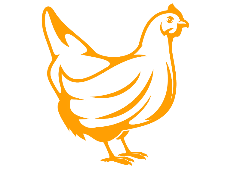 kurczak 2