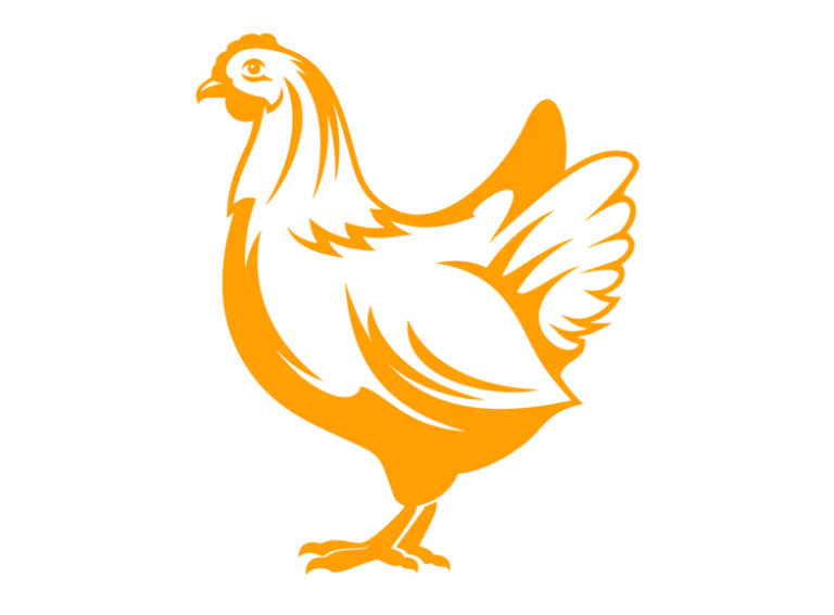 kurczak 4